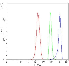 Anti-CD137L / 4-1BBL / TNFSF9