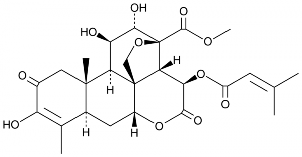 Brusatol
