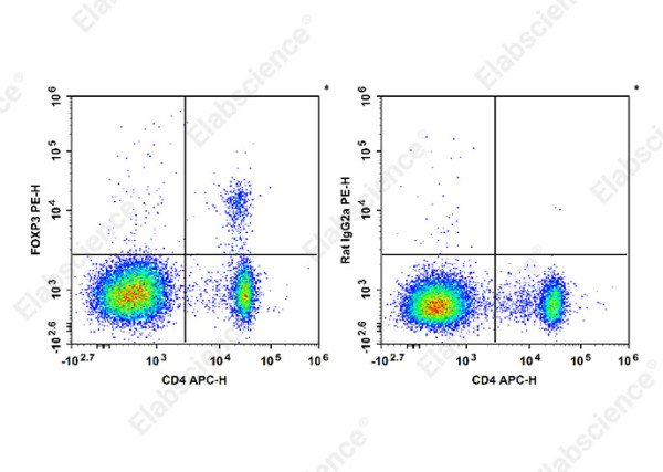 Anti-Foxp3 (mouse/rat), clone FJK-16s, PE conjugated