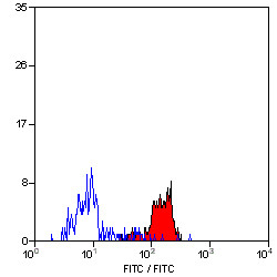 Anti-CLEC7A (low endotoxin), clone 2A11