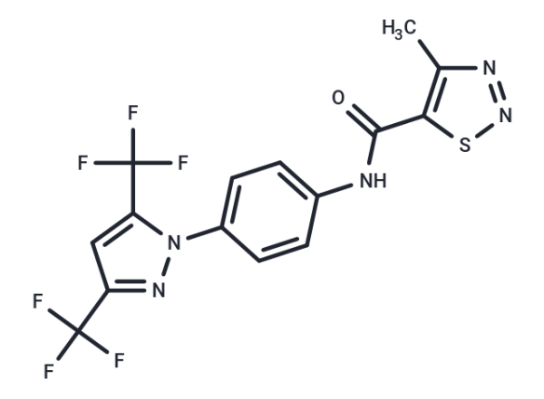 YM-58483