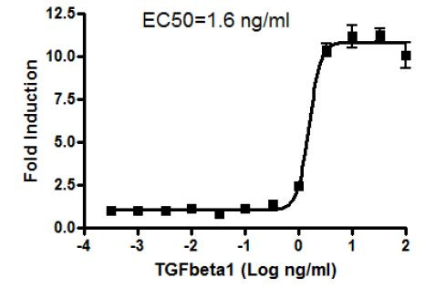 Transfection Collection(TM) : SBE Transient Pack (TGFbeta/SMAD Signaling Pathway)