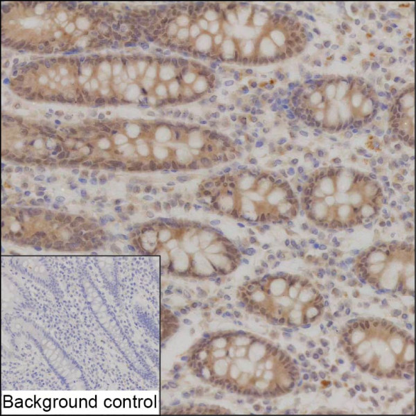 Anti-MYCBP