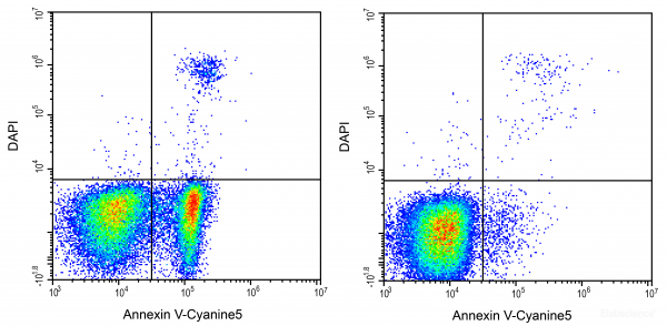 Annexin V-Cyanine5 / DAPI Apoptosis Detection Kit