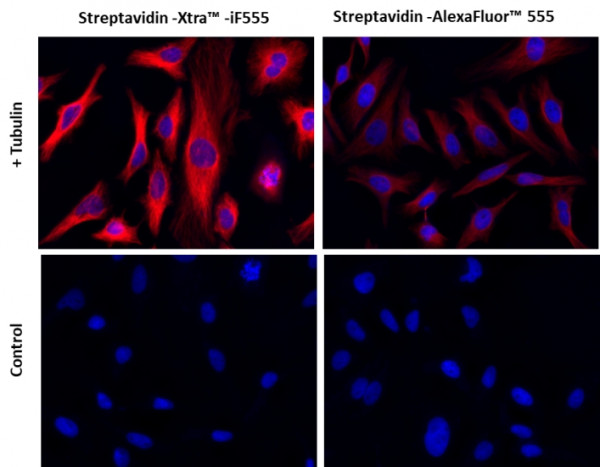 Streptavidin-Xtra(TM) IF555