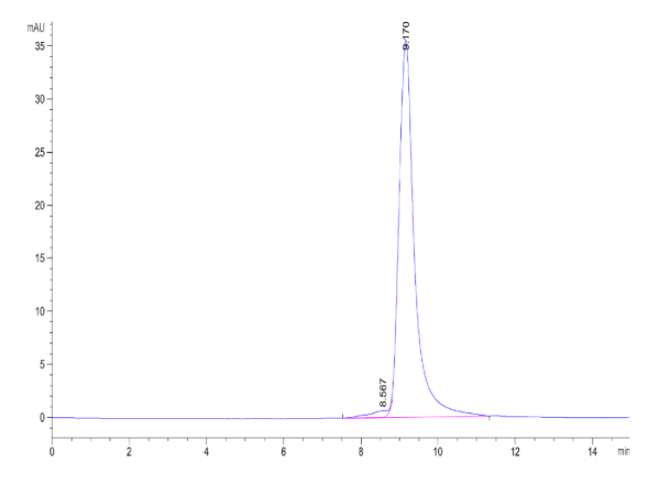 Cynomolgus IL-23 alpha&amp;IL-12 beta Protein