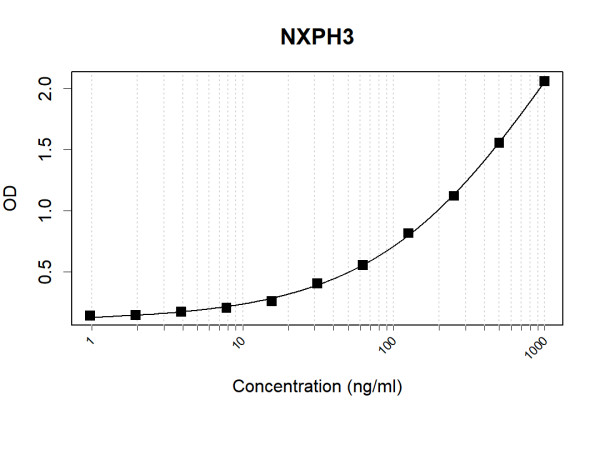 Anti-Human NXPH3 Antibody Pair