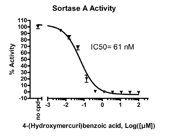 Sortase A Assay Kit