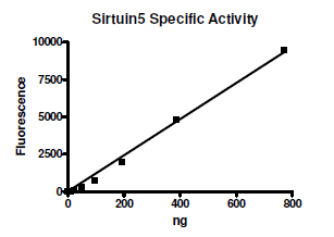 Sirtuin 5, active human recombinant protein