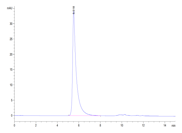 Human B7-H7/HHLA2 Protein