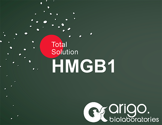HMGB1_Preview
