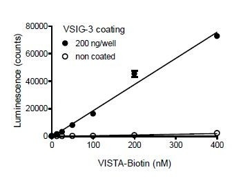 VSIG-3:VISTA [Biotinylated] Inhibitor Screening Assay Kit