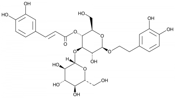 Plantamajoside