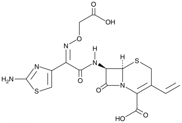 Cay17176-1_600x600.png