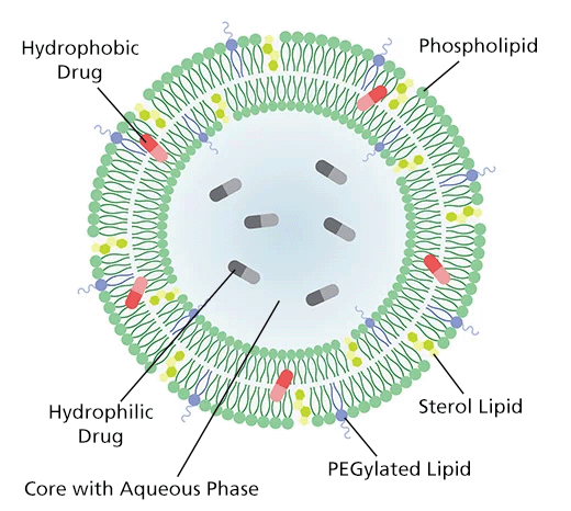 Drug Delivery Products :: Phospholipids and Lipids for LNP and