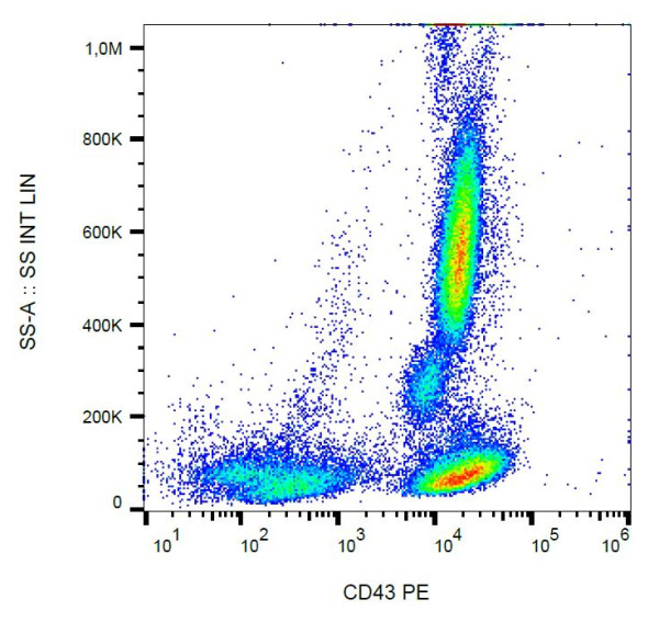 Anti-CD43, clone MEM-59 (PE)
