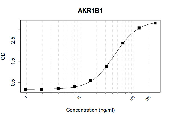 Anti-Human AKR1B1 Antibody Pair