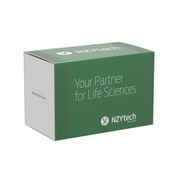 Supreme HC NZY FS cDNA Synthesis Flexible Pack
