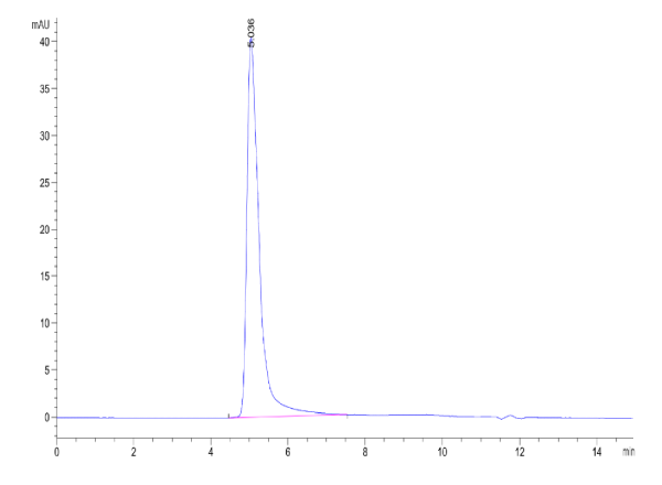 Human CKAP4 Protein
