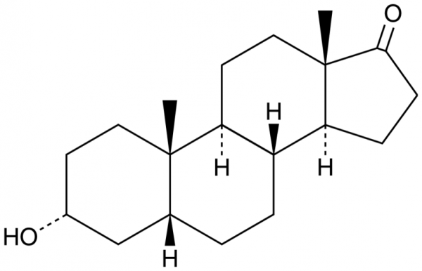 Etiocholanolone