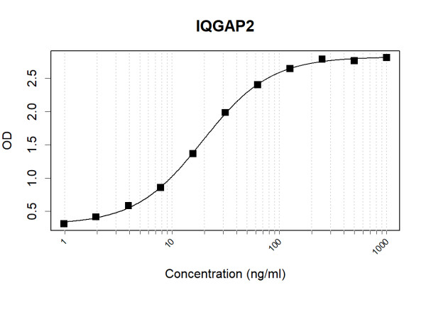 Anti-Human IQGAP2 Antibody Pair