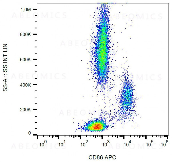 Anti-CD86 Monoclonal Antibody (Clone:BU63)-APC Conjugated