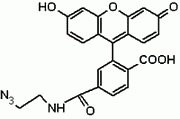 6-FAM Azide