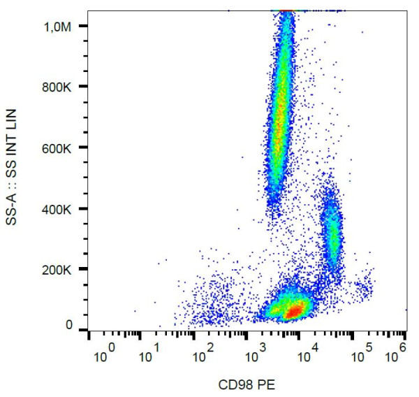 Anti-CD98, clone MEM-108 (PE)