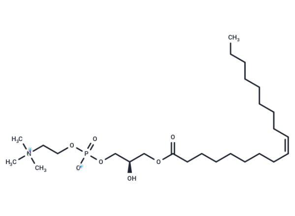 1-Oleoyl-sn-glycero-3-phosphocholine