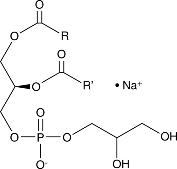Phosphatidylglycerol (egg) (sodium salt)