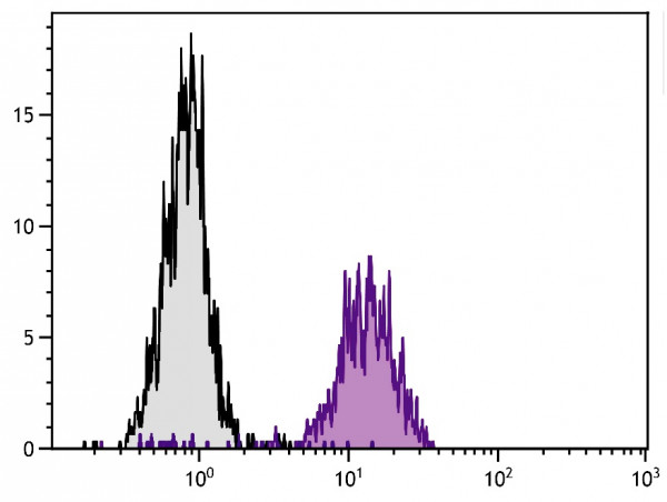 Anti-Integrin alpha V (PE), clone 13C2