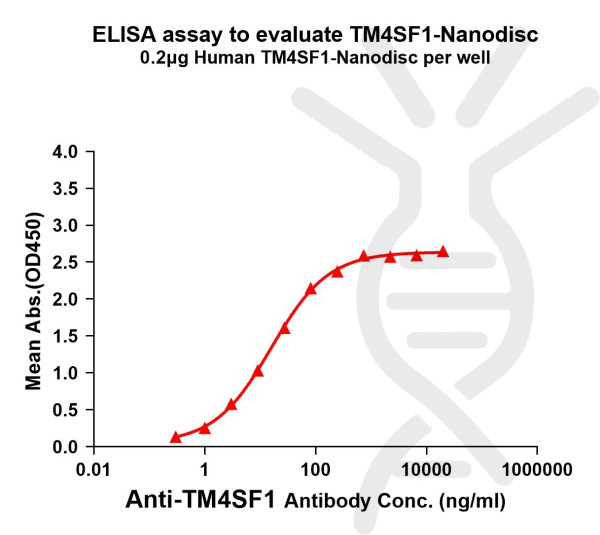 TM4SF1 (human) full length protein-synthetic nanodisc