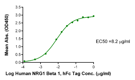 Her4/ErbB4, His &amp; Avi, Human