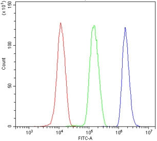 Anti-DROSHA Antibody / Ribonuclease 3