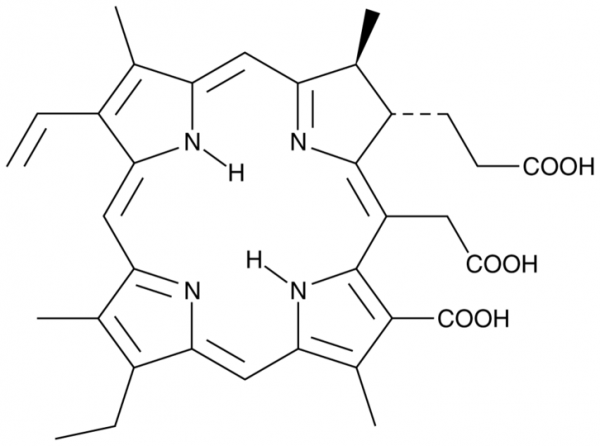 Chlorin e6