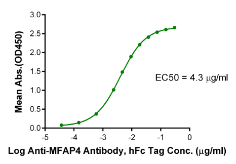 MFAP4, His &amp; Flag, Human