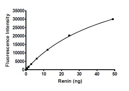 Activated Renin, human recombinant protein
