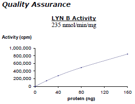 LYNB, active human recombinant protein