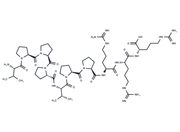Ras Inhibitory Peptide