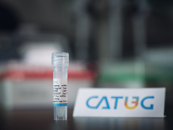 CatPure(TM) Firefly luciferase mRNA