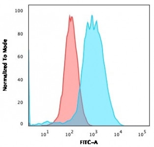 Anti-Estrogen Receptor alpha, clone ESR1/3559