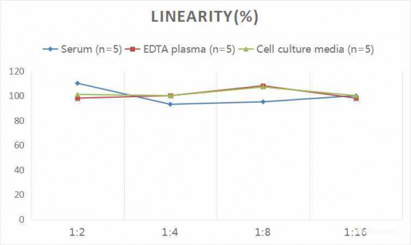 Rat NRG-1 (Neuregulin 1) CLIA Kit
