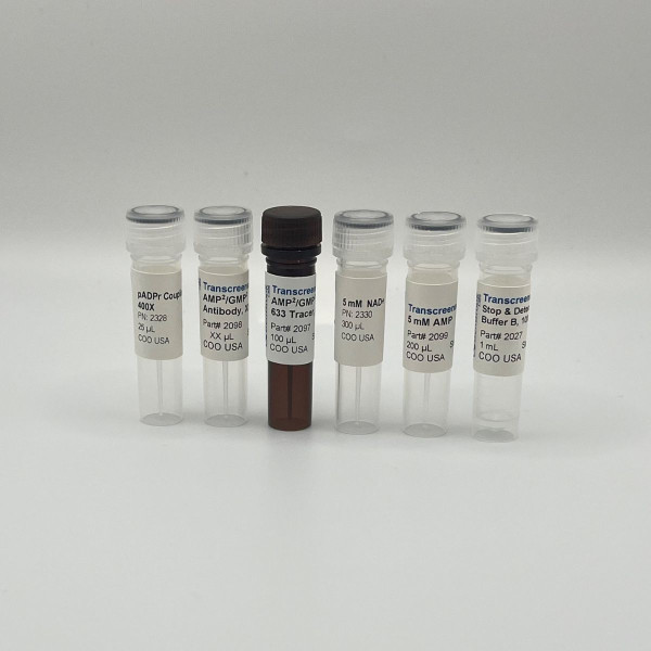 Transcreener(R) pADPr PARP FP Assay