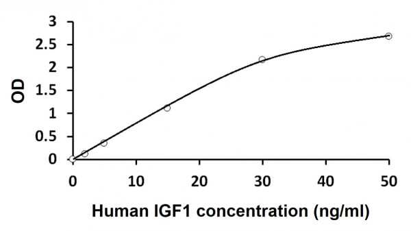 Human IGF1 ELISA Kit