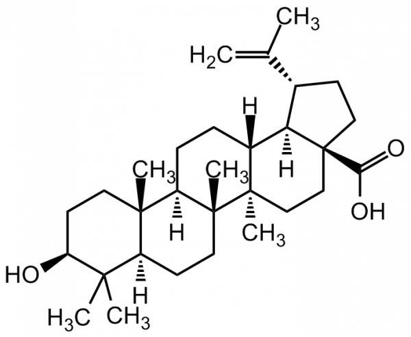 Betulinic acid