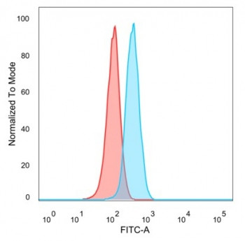 Anti-YBX3 / Y-box-binding protein 3, clone PCRP-YBX3-2D12