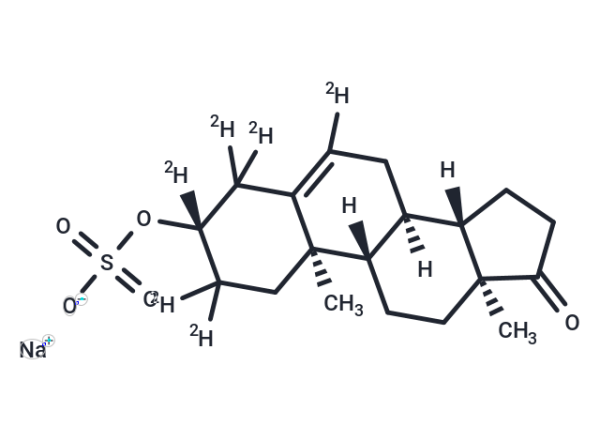 Dehydroepiandrosterone Sulfate Sodium Salt-d6