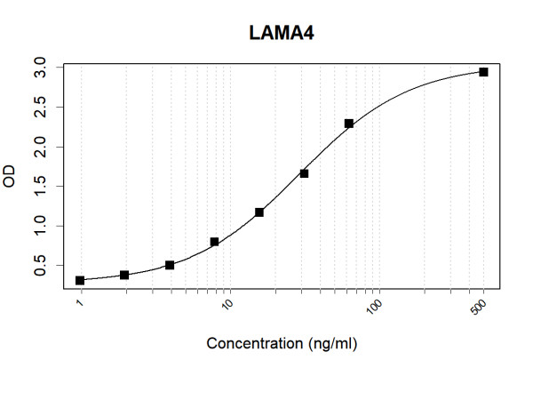 Anti-Human LAMA4 Antibody Pair