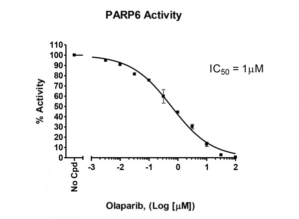 PARP6 assay kit