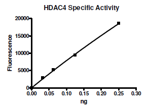 HDAC-4, active human recombinant protein